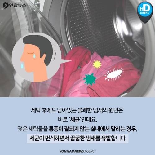 빨래